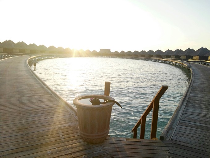泰姬珍品岛 Taj Exotica Resort
